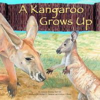 A kangaroo grows up