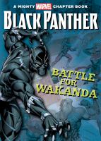 Black Panther : battle for Wakanda