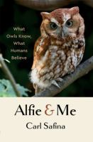 Alfie & me : what owls know, what humans believe