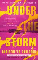 Under the storm : a novel