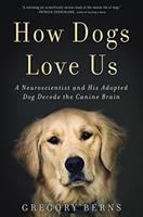 How dogs love us : a neuroscientist and his adopted dog decode the canine brain
