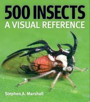 500 insects : a visual reference